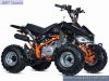 RAGING BULL 100CC