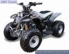 QUADZILLA QUAZILLA R100  OFF ROAD