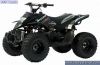 RMX 100CC JUNIOR OFF ROAD