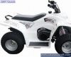 BUZZ MINI 50CC