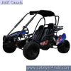 QUADZILLA CHEETAH BUGGY