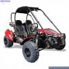 QUADZILLA CHEETAH BUGGY