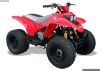 QUADZILLA QUAZILLA R100 RED OFF ROAD