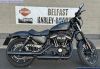 Harley-Davidson XL 883 N Iron 17