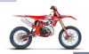Beta RX 300 25