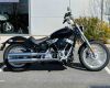 Harley Davidson ST Standrd 107
SOFTAIL STANDARD