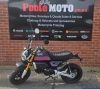 BLUROC MOTORCYCLES BLURO X-BONGO