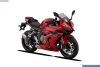 QJMotor SRK 800 RR