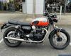 Triumph Bonv T100 9
