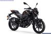 Qianjiang Motorcycle Group QJMOTOR TRX 125