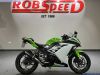 Kawasaki Ninja 300 Anniversary