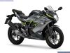 Kawasaki NINJA 125