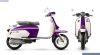 ROYAL ALLOY GP125 LC SE