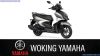Yamaha LCG125 RAYZR
