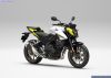 Honda CB500 HORNET