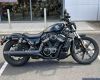 Harley Davidson Nightster 975
