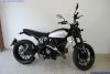 Ducati SCRAMBLER ICON