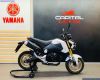 Honda GROM MSX 125