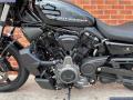 2022 Harley-Davidson RH975 NIGHTSTER 975cc 9,995
