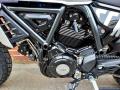 New Ducati SCRAMBLER 800 ICON 800cc 9,995