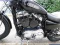 2009 Harley-Davidson XL 1200 LOW Sportster 1200cc 6,699