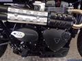 New Triumph Scrambler 900 900cc 10,395