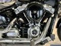 New Harley Davidson ST Standrd 107 1745cc 20,395