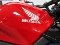 New Honda CB500F - HORNET 471cc 6,495