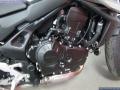 New Honda CB750 - HORNET 750cc 6,895