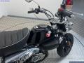 New Honda Z125 MONKEY (25MY) 125cc £4,199